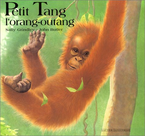 petit tang, l'orang-outang