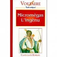 micromégas