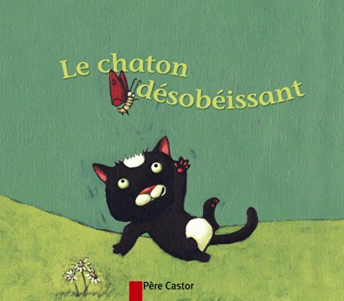 le chaton désobéissant  