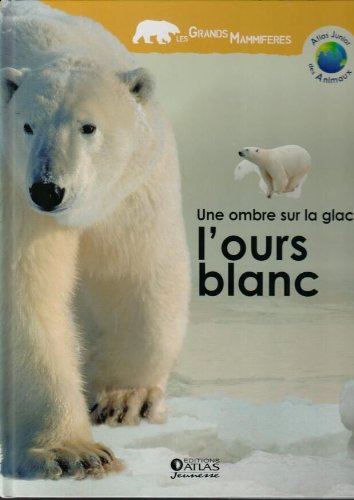 une ombre sur la glace, l'ours blanc   [004]