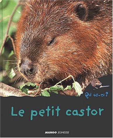 le petit castor  