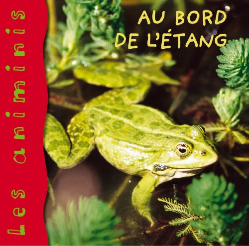 Au bord de l étang