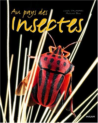 au pays des insectes