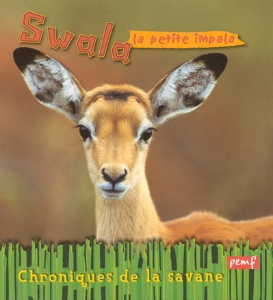swala, la petite impala