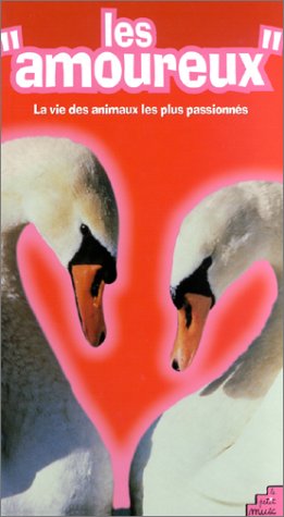les amoureux  