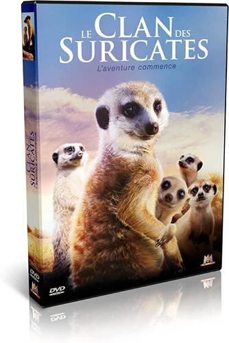 le clan des suricates  