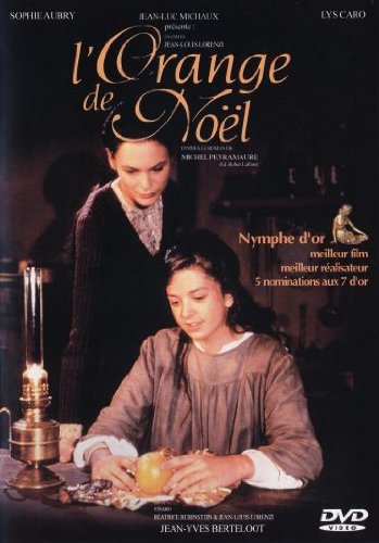 l' orange de noël  
