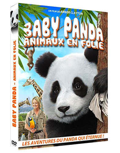 baby panda - animaux en folie