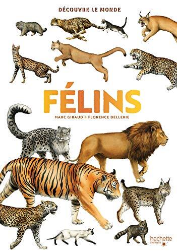 félins