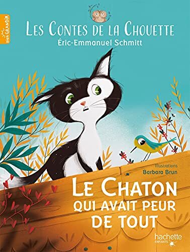 Contes de la Chouette - Le Chaton qui n avait pas de courage (Les)