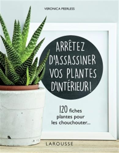 Arrêtez d assassiner vos plantes d intérieur