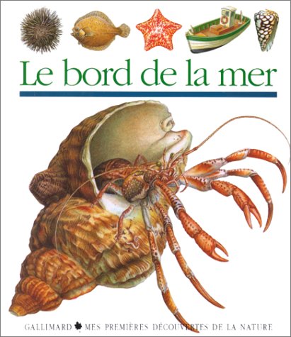 Bord de la mer (le)