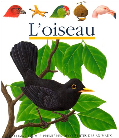 Oiseau (l )