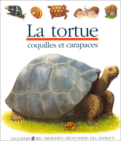 Tortue (la)