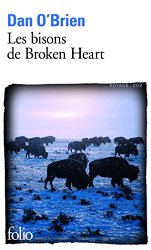 les bisons de broken heart   [4903]