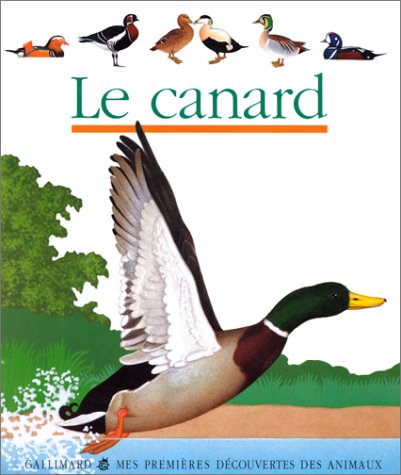 Canard (le)