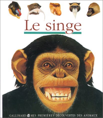 Singe (le)