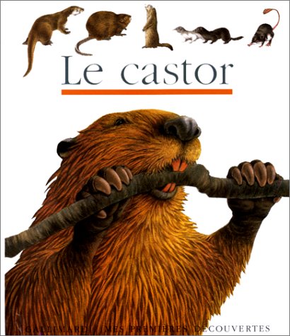 Castor (le)