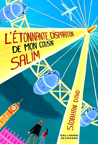 l' étonnante disparition de mon cousin salim  