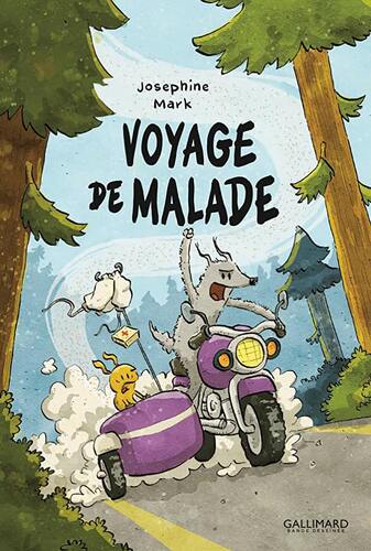 voyage de malade