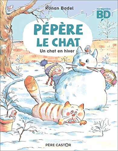 un chat en hiver   [T05]