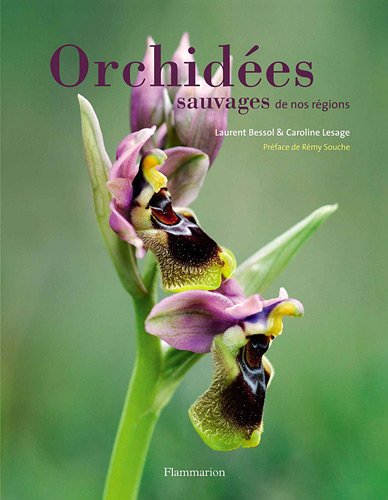 orchidées sauvages de nos régions