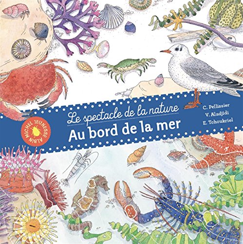 au bord de la mer
