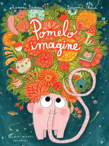 pomelo imagine