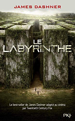 l' épreuve, tome 1 : le labyrinthe  