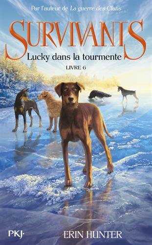 Survivants - lucky dans la tourmente