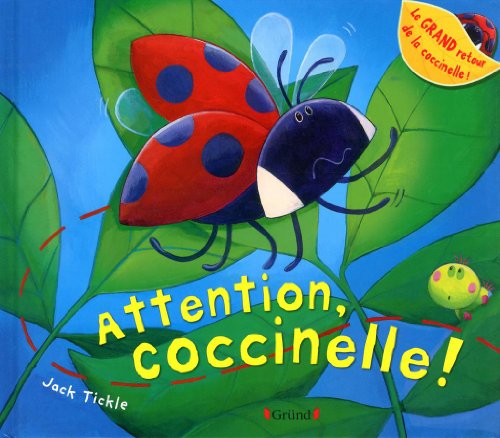 attention coccinelle !
