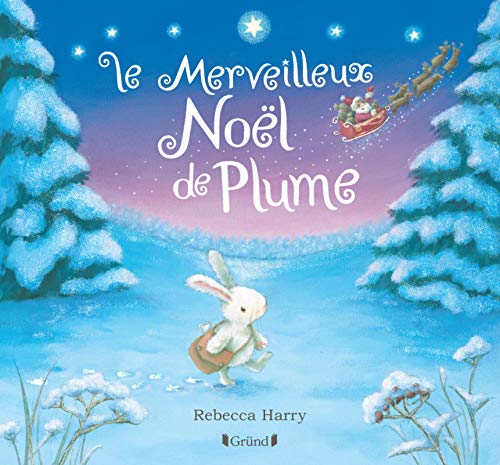 le merveilleux noël de plume  