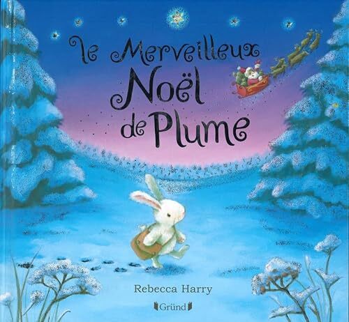 Merveilleux Noël de Plume (NE) (Le)