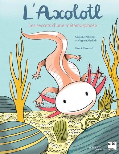 l' axolotl  