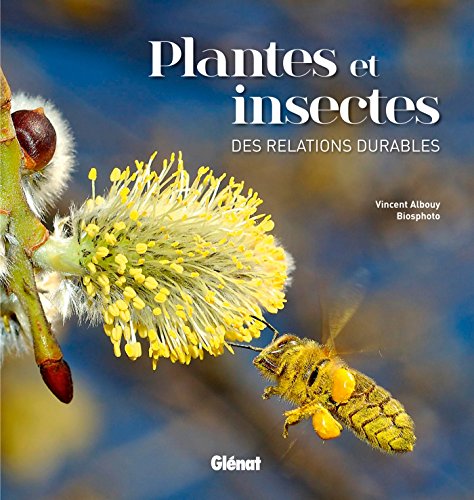 plantes et insectes