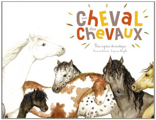 un cheval, des chevaux  
