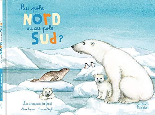 au pôle nord ou au pôle sud ?
