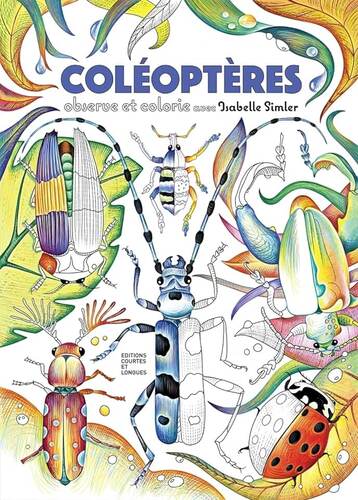 coléoptères