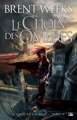 le choix des ombres   [tome 2]