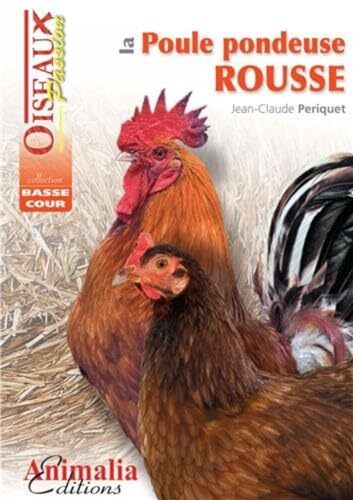 Couverture: la poule pondeuse rousse la poule pondeuse rousse