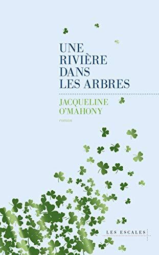 une rivière dans les arbres  