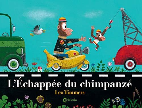 l' échappée du chimpanzé  