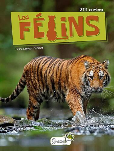 les félins  