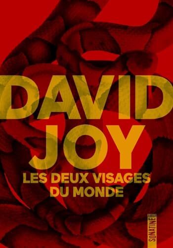 les deux visages du monde  
