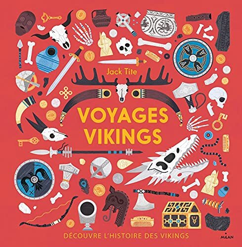 voyages vikings