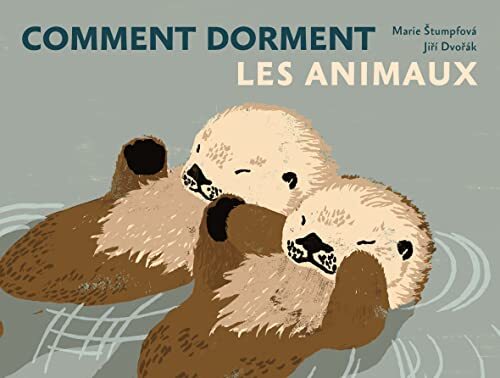 Comment dorment les animaux