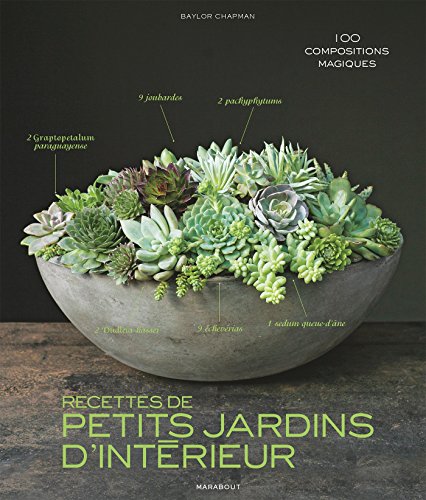 Recettes de petits jardins d intérieur