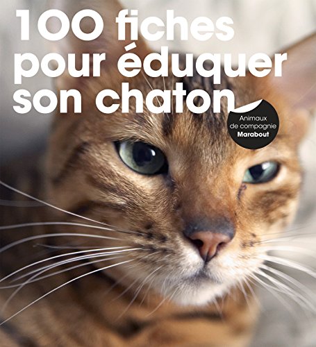 éduquer son chaton