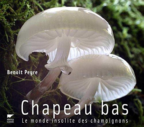 chapeau bas