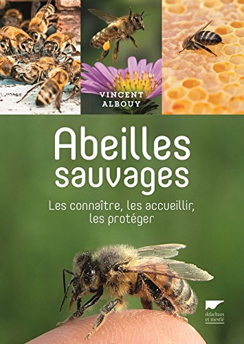 abeilles sauvages